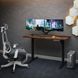 Комп'ютерний стіл з регулюванням висоти Mealux PowerDesk Energy Antique EVO-201 Energy A/B фото 2