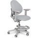 Дитяче ортопедичне крісло Evo-Kids Mio Grey Y-407 G фото 1