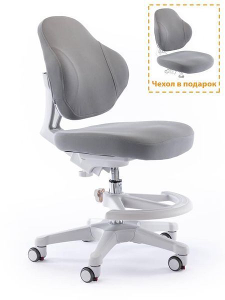 Детский стул для письменного стола Evo-Kids Mio Classic Y-405 G фото