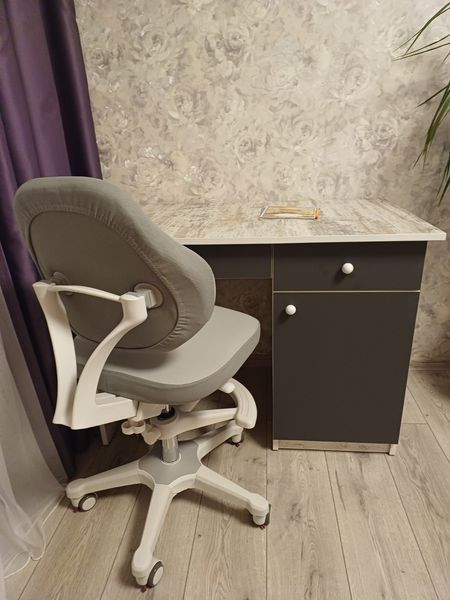 Детский стул для письменного стола Evo-Kids Mio Classic Y-405 G фото