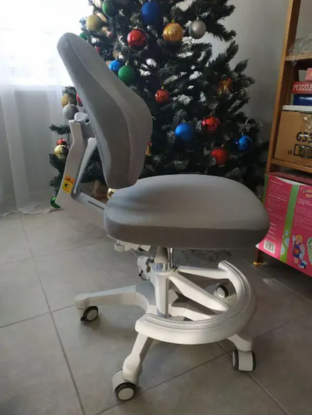 Детский стул для письменного стола Evo-Kids Mio Classic Y-405 G фото