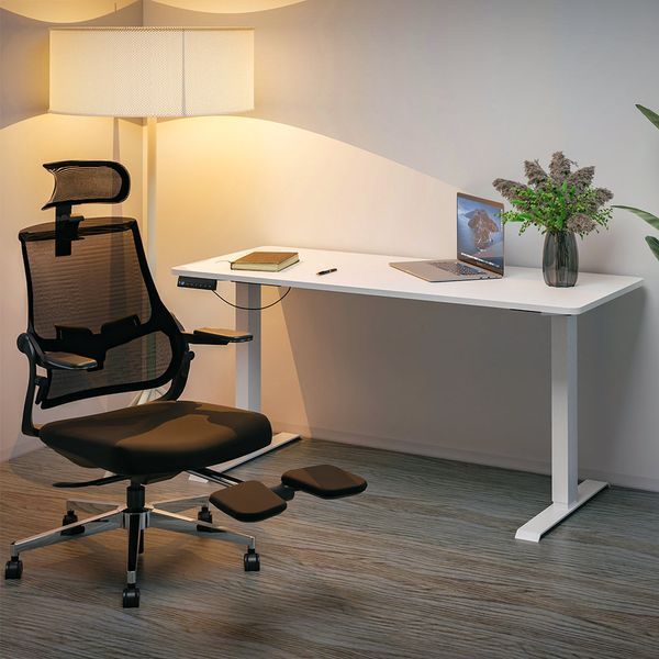 Стол с электрорегулировкой высоты Mealux PowerDesk Duo White EVO-242 Duo W/W  фото